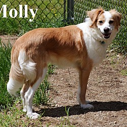 Thumbnail photo of Molly #2