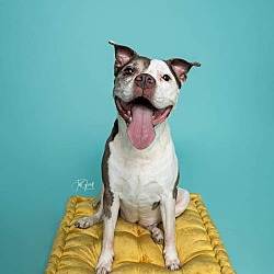 Photo of Kyra