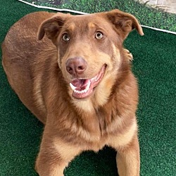 Photo of Penelope JR