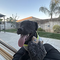 Photo of Oliver