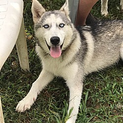 Photo of Vega