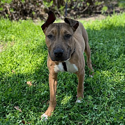 Photo of Austin