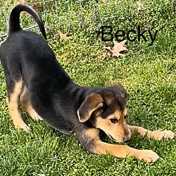 Thumbnail photo of Becky #3