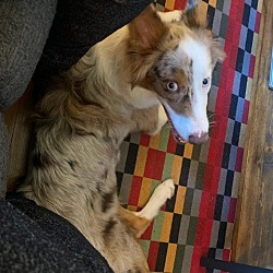 Photo of Ezra