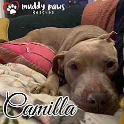 Thumbnail photo of Camilla #3