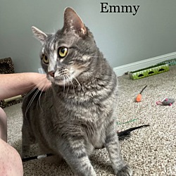Thumbnail photo of Emmy #3