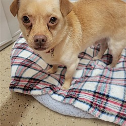 Photo of Chuck