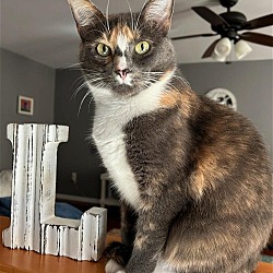 Photo of Fiorella