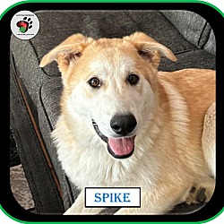 Photo of Spike - Land B4 Time - UPDATED