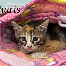 Photo of Charis