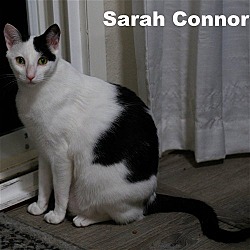 Photo of Sarah Conner (HM)