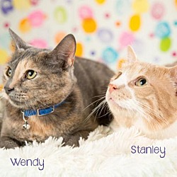 Photo of Wendy