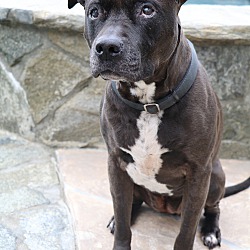 Thumbnail photo of Coco #2