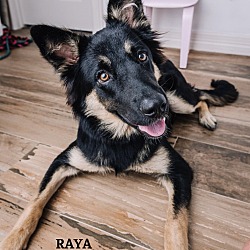 Thumbnail photo of Raya #1