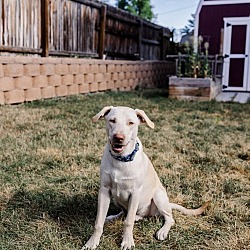 Thumbnail photo of Stehekin / Eric #3