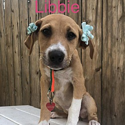 Thumbnail photo of Libbie #3