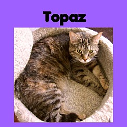 Thumbnail photo of Topaz #3