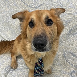 Photo of Grady