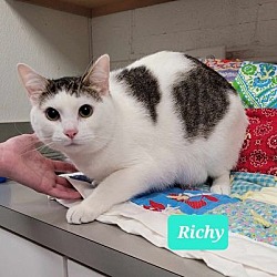 Thumbnail photo of Richy #2