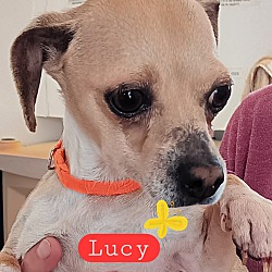 Photo of Lucy