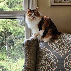 Photo of Fiona