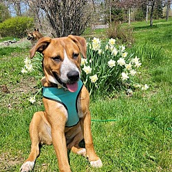 Photo of Edie (TX)