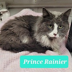 Thumbnail photo of Prince Rainier #3