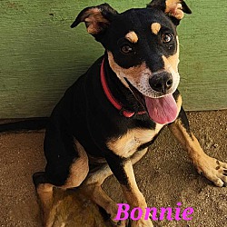 Photo of Bonnie