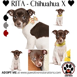 Thumbnail photo of RITA #1