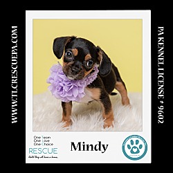 Thumbnail photo of Mindy (Ten Spots) 082424 #2