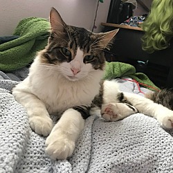 Photo of Philippe