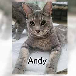 Thumbnail photo of Andy #3