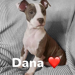 Photo of Dana