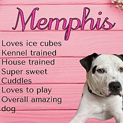 Thumbnail photo of Memphis #2