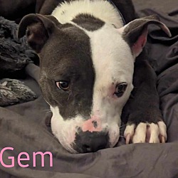 Thumbnail photo of GEM #2