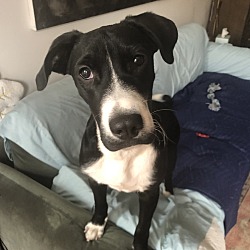 Jack