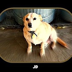 Thumbnail photo of JD #1