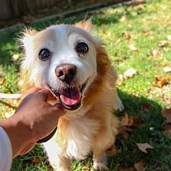 Photo of BUDDY