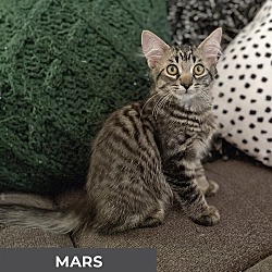 Thumbnail photo of Mars #2