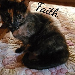 Thumbnail photo of Faith   special needs #3