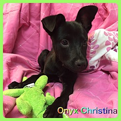 Thumbnail photo of Onyx Christina #1