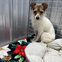 Photo of Itty Bitty