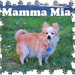 Thumbnail photo of Mamma Mia #1