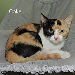 Thumbnail photo of Cake #1