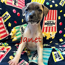 Thumbnail photo of Janet #4