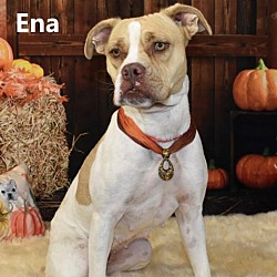Photo of Ena