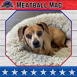 Photo of Meatball Mac