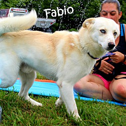 Thumbnail photo of Fabio~adopted! #3