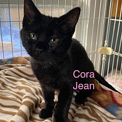 Photo of Cora Jean