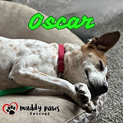 Thumbnail photo of Oscar #4